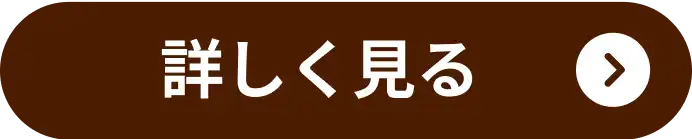 詳しく見る